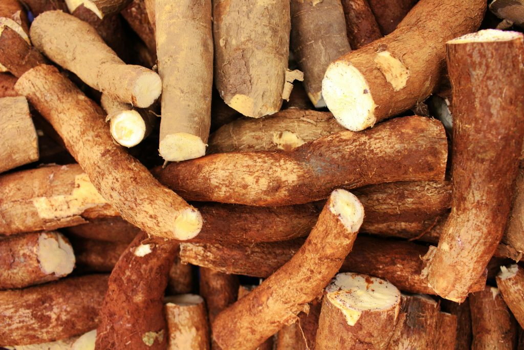 pexels-photo-7543161-7543161 A close-up view of freshly harvested organic cassava roots, showcasing their textured skin.